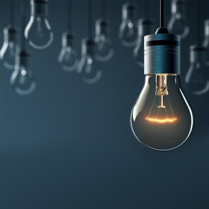 LED BULBS