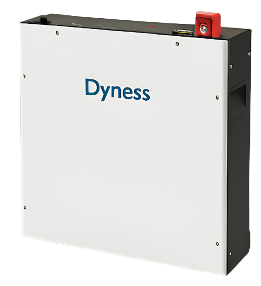 5.12kWh Dyness 51.2V Battery BX51100
